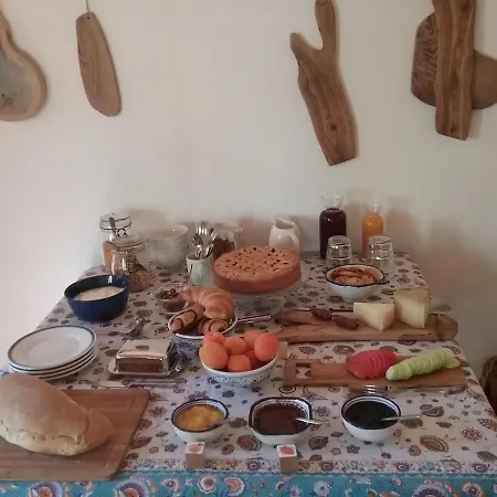 La Ca'solare Palaia